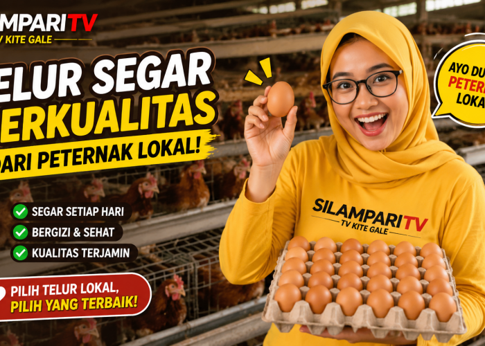 Harga Telur Terpuruk, Kementan Dorong Penambahan Menu Telur dalam Program Makan Bergizi Gratis