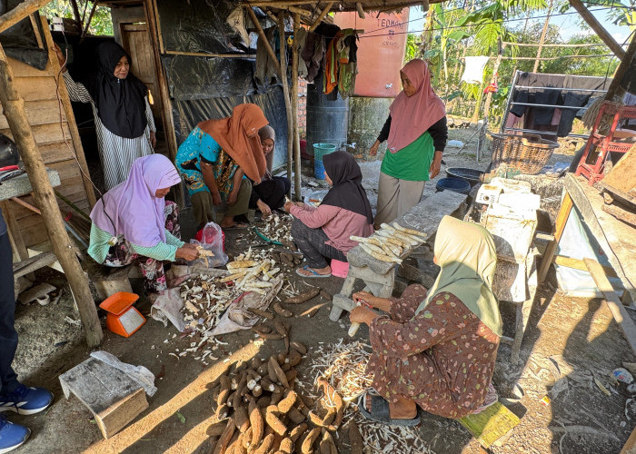 Sentuhan PHE Jambi Merang Ubah Singkong Jadi Sumber Harapan