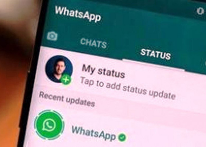 Ingin Buat Status WhatsApp HD, Tidak Pecah dan Buram? Begini Caranya