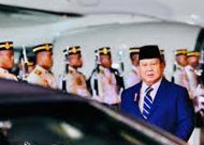 Presiden Prabowo: Permintaan Kelapa Sawit Terus Meningkat di Pasar Global