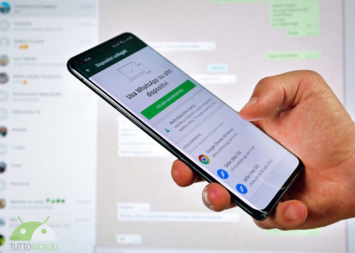 WhatsApp Uji Layanan Berbayar “Plus” Ini Fitur Premium dan Perkiraan Harganya