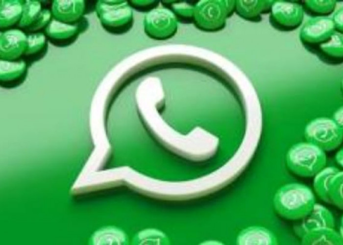 Panik Akun WhatsApp Anda Dibajak Orang Lain? Berikut Cara Menghindari dan Mengembalikannya!