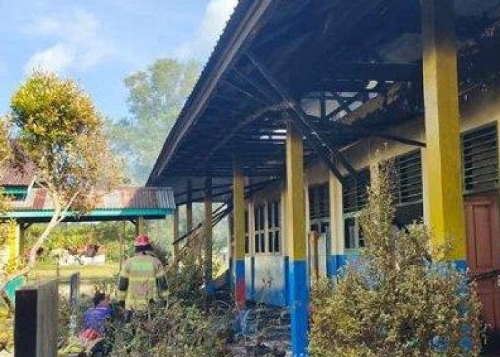 Tragedi Kebakaran Menghantam SD Negeri 013 Singkep