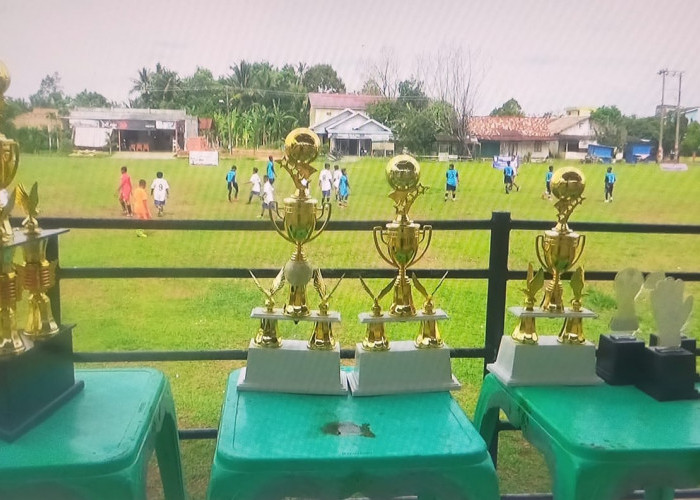 Liga antar SSB Bintang juara Cup U12 Berlangsung Sukses
