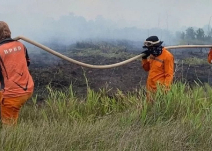 Lima Daerah di Sumsel Tetapkan Status Siaga Karhutla, Banyuasin Jadi Wilayah Terbaru