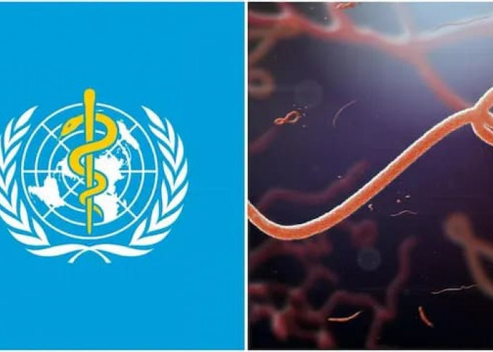 WHO Tetapkan Ebola Darurat Global, Tingkat Kematian Disebut Bisa Tembus 90 Persen