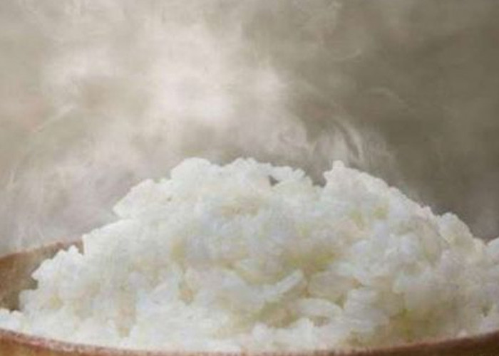 Nasi Dingin atau Nasi Hangat: Mana yang Lebih Sehat?