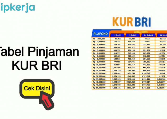 Bunga Rendah, Pinjaman KUR BRI Kian Diminati Agus Ingin Buka Pangkalan Gas