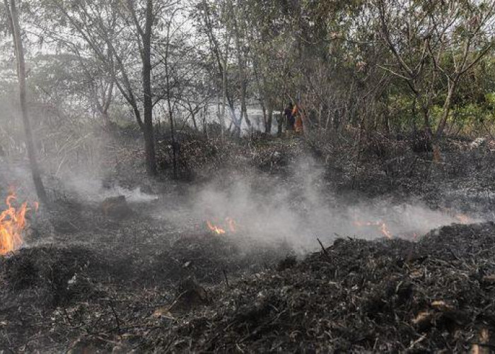 Ratusan Titik Panas Terdeteksi di Sumatera, Riau Paling Parah, Sumsel Tetap Waspada Karhutla