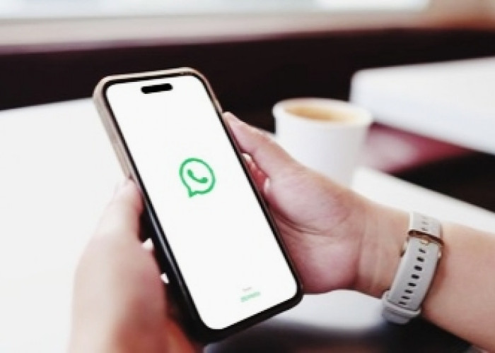 Fitur Baru WhatsApp: Kini Bisa Chat dengan Pengguna Tanpa Akun