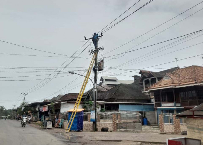 PLN ULP Kayu Agung Tingkatkan Keandalan Listrik di Tulung Selapan Lewat Uprating Penyulang Tenggiri