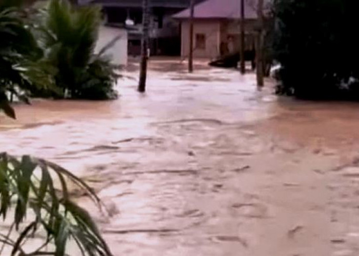 Banjir Bandang di Sarolangun, Rendam Hingga 53 Unit Rumah