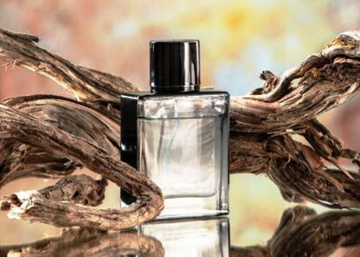 Ini dia 8 Rekomendasi Parfum Pria yang Banyak Dicari