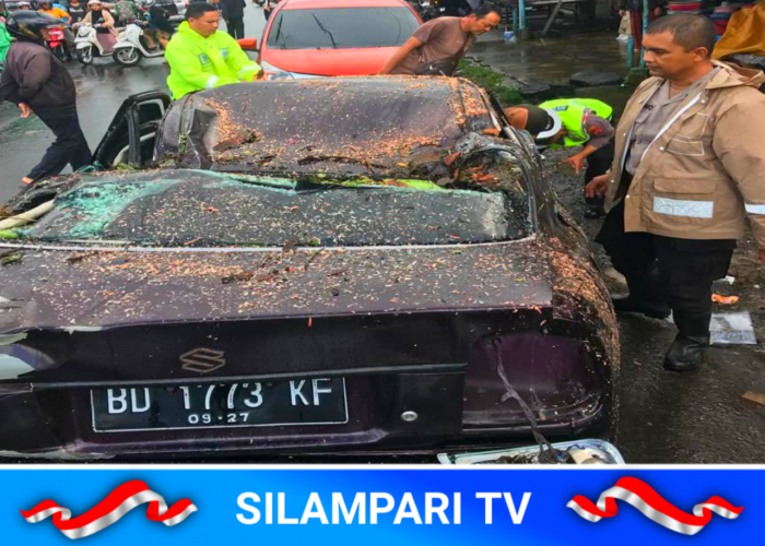 Diterjang Angin Kencang, Pohon Tumbang Rusak Dua Mobil di Pasar Atas Curup