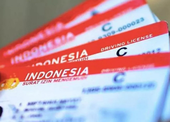 SIM Indonesia Kini Berlaku di Sejumlah Negara ASEAN, SIM Internasional Tetap Dibutuhkan?