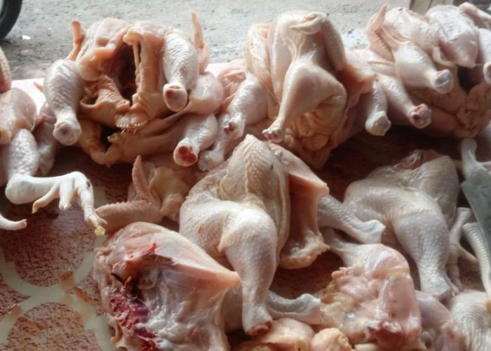 Harga Daging Ayam di Pasar Megang Sakti Naik Melejit, Pedagang Lesu