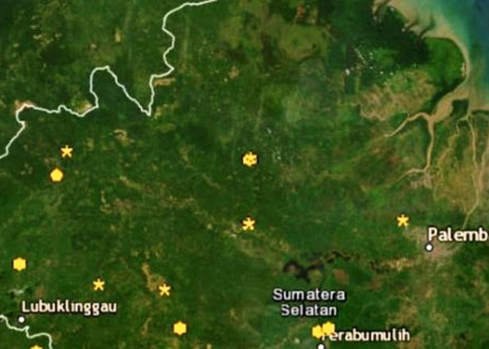 Titik Panas Bermunculan di Sumatera Selatan, Sudah Ada 12 Titik