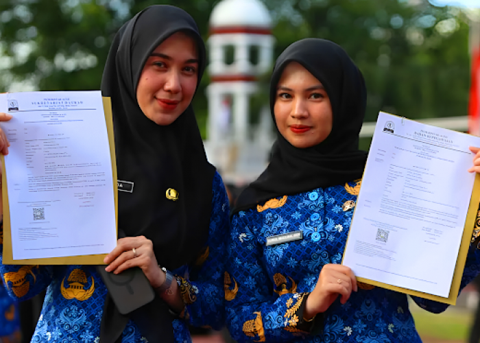 Gaji PPPK Paruh Waktu Tak Merata, Pemda Terjepit Efisiensi Anggaran