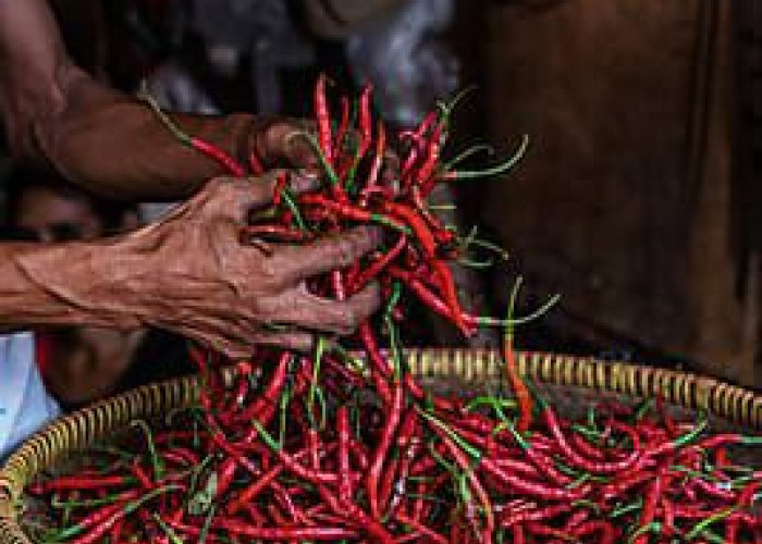 Cara Menghilangkan Panas di Tangan akibat Cabai 