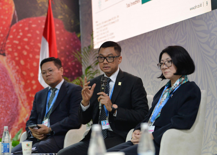 CEO Climate Talks1: PLN Siap Dukung Pemerintah Capai 75% Energi Terbarukan hingga Tahun 2040