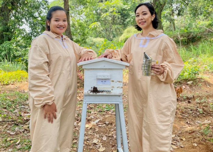 UMKM Madu Lokal Naik Kelas! Tembus Pasar Global Berkat Dukungan BRI