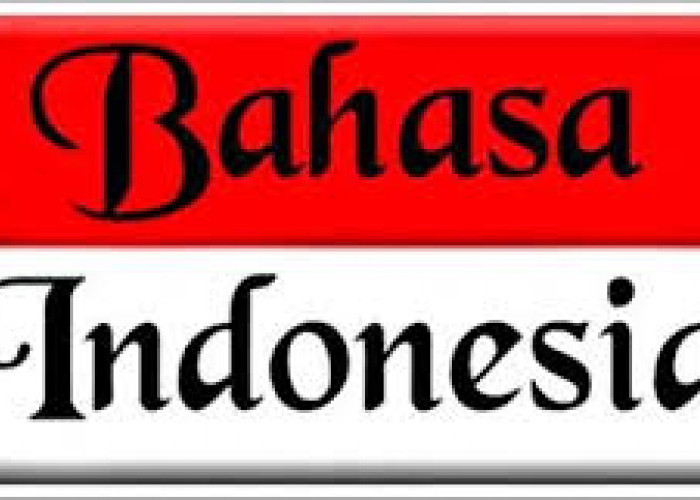 Kunci Jawaban Bahasa Indonesia Kelas 12 Halaman 16 Kurikulum Merdeka: Mencari Informasi dari Ensiklopedia