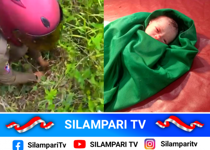 Bayi Perempuan Ditemukan di Semak-semak, Warga Empat Lawang Geger