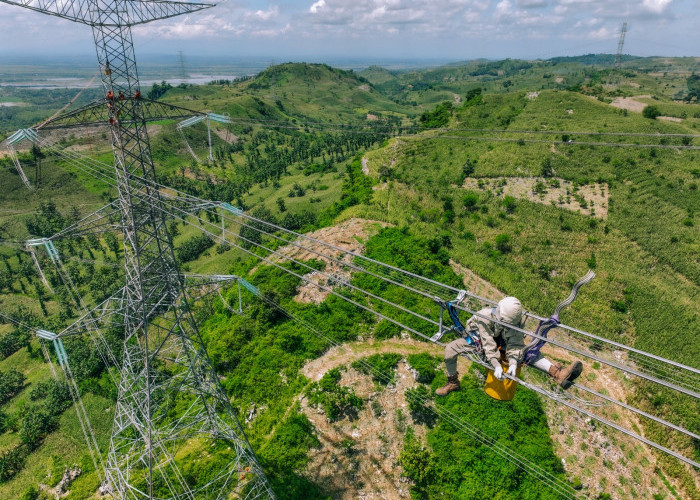 TOP! PLN Kembali Pertahankan Posisi Puncak Sektor Utilitas Fortune Southeast Asia 500