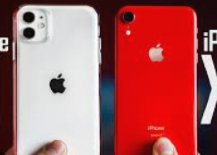 iPhone XR vs iPhone 11: Pilih Mana yang Masih Layak Dibeli pada Tahun 2024?