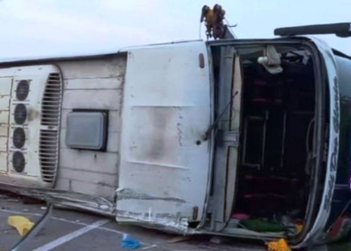 Kecelakaan Maut Bus Handoyo di Jalan Tol Cipali, Tewaskan 12 Orang