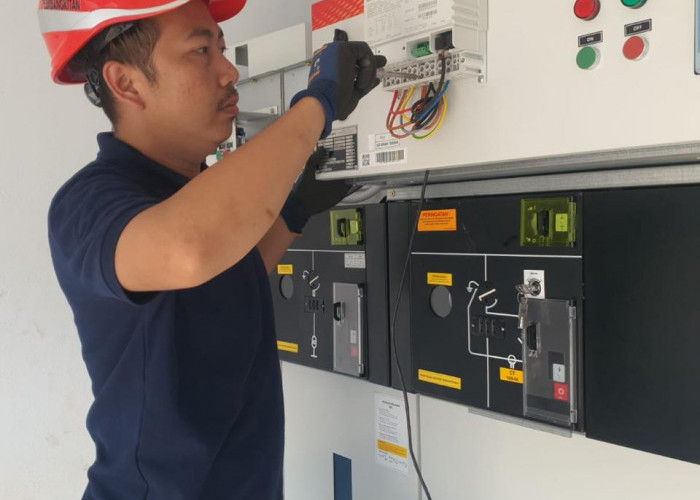 PLN Hadirkan Listrik Andal untuk Tambak Udang di Bengkulu, Kado Spesial Jelang Hari Pelanggan Nasional