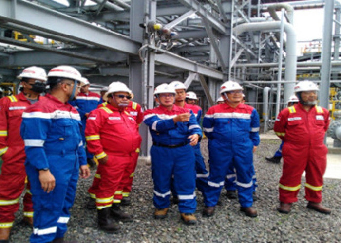 PHE Jambi Merang Terima Kunjungan Wakil Kepala SKK Migas ke SKN Gas Plant