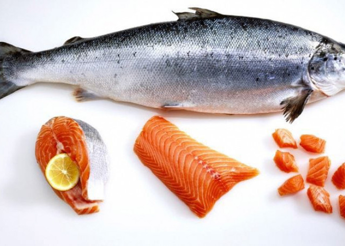 Pilihlah 4 Jenis Ikan Tinggi Protein yang Bisa Membantu Mencegah Stunting pada Anak