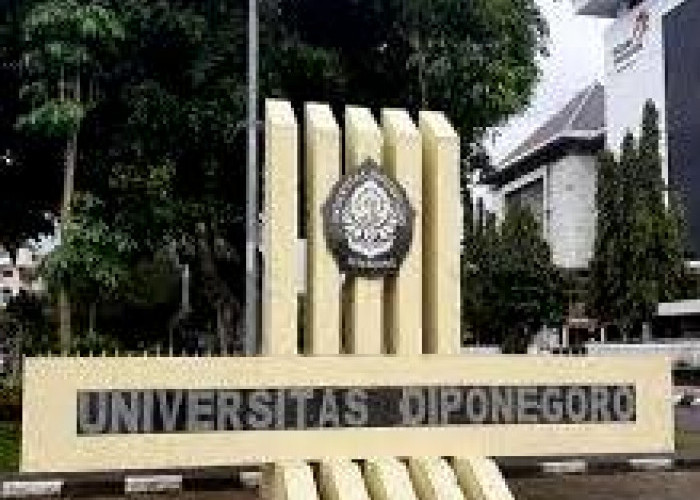 Prediksi Nilai Rata-Rata SNBP 2025 Universitas Diponegoro (Undip) Berdasarkan Data Pendaftar Tahun 2024