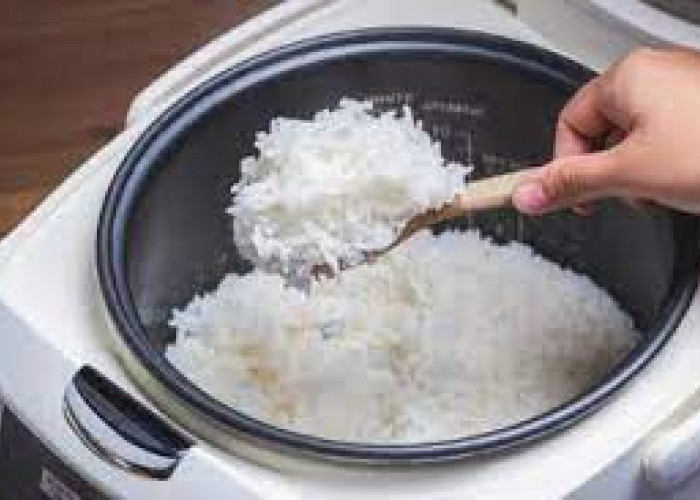 6 Cara Memasak Nasi di Rice Cooker agar Nggak Cepat Basi dan Kering Berkerak