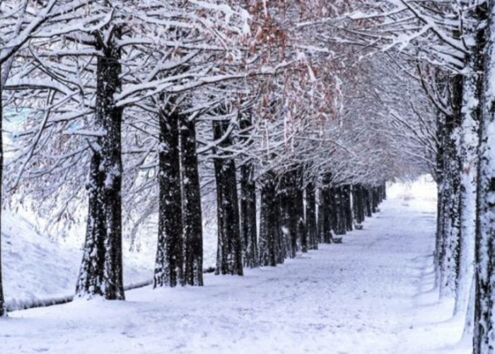 Sering Terjadi Musim Dingin, 7 Negara Ini Jarang Mengalami Siang Hari