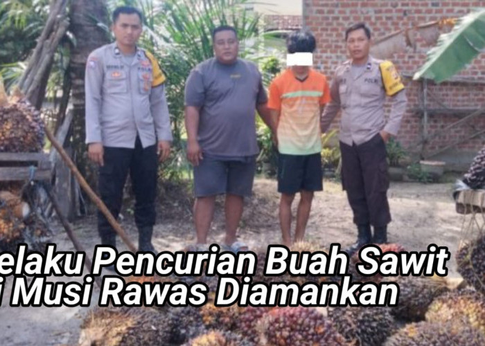 Tanpa Perlawan, Pelaku Pencurian Buah Sawit di Musi Rawas Berhasil Ditangkap Polisi