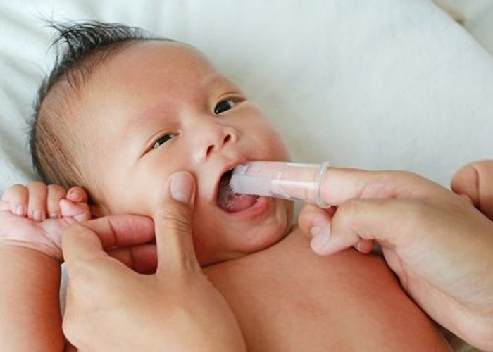 8 Cara Membersihkan Gigi Bayi yang Baru Tumbuh