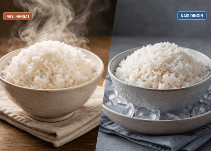 Nasi Hangat atau Nasi Dingin, Mana Lebih Sehat dan Aman?