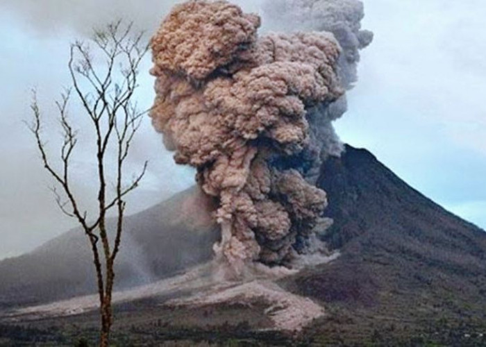 Gunung Dukono di Maluku Meletus Pagi Ini, Keluarkan Abu Vulkanik Hingga 4 Km