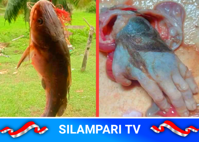 Viral! Emak-emak Temukan Tangan Dalam Perut Ikan, Warganet Heboh.