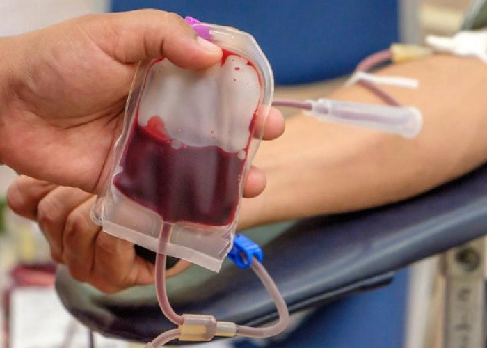 Tak Hanya Menyelamatkan Nyawa, Donor Darah Juga Bermanfaat untuk Kesehatan Tubuh