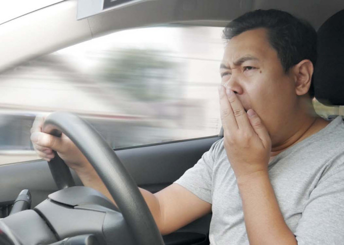 Agar Tetap Fokus Saat Mudik, Hindari Makanan Pemicu Kantuk Ini