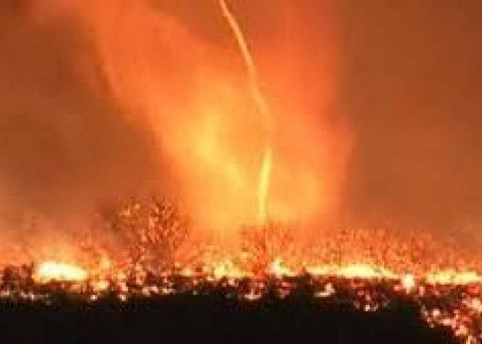 Fenomena Tornado Api Muncul di Tengah Kebakaran Dahsyat Los Angeles