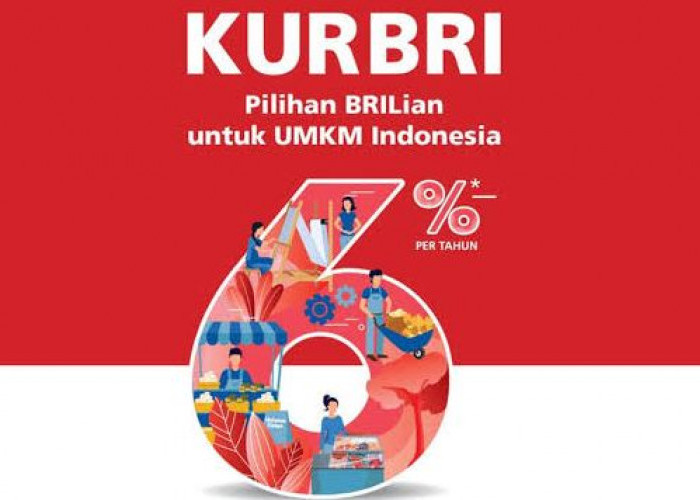 Program KUR BRI: Solusi Finansial Andalan untuk UMKM, Dorong Pertumbuhan Ekonomi Lokal