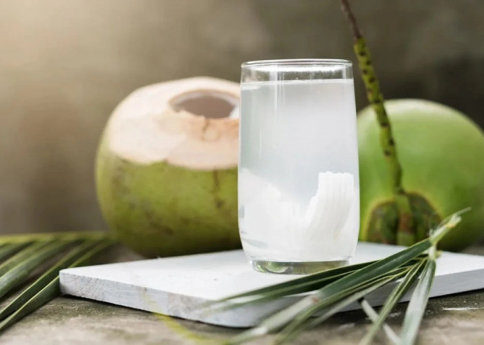 Air Kelapa Baik Dikonsumsi Setiap Hari? Ini Manfaat dan Batas Aman yang Perlu Diketahui