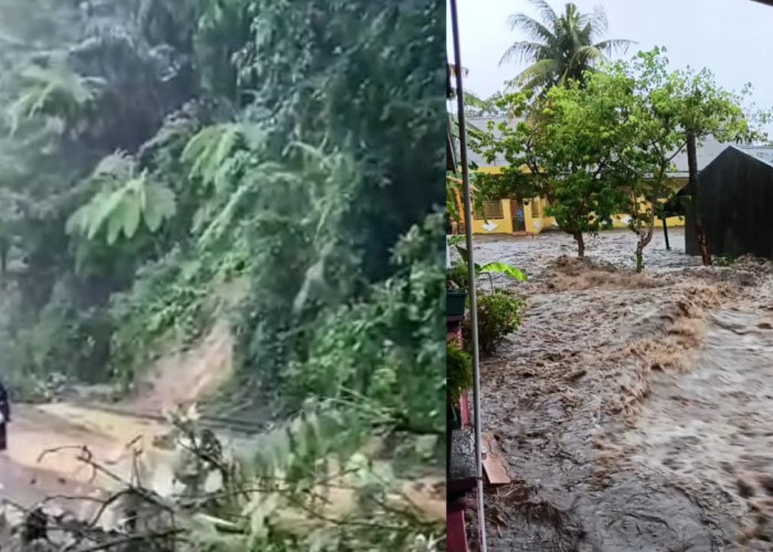 Berikut Data-data Pohon Tumbang, Banjir dan Longsor di Kota Padang Sumbar