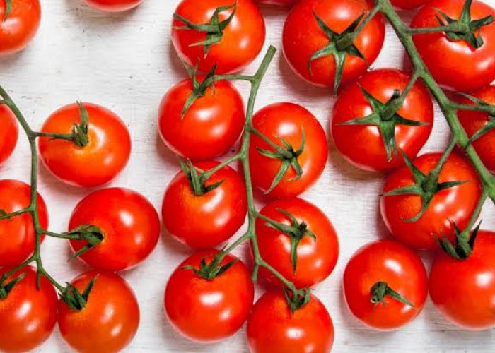 Mengungkap Manfaat yang Jarang Diketahui dari Buah Tomat: Lebih dari Sekadar Rasa Segar di Lidah Anda