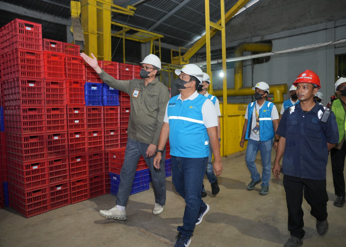 Semarak Kemerdekaan! PLN UP3 Jambi Energize Electrifying Agriculture 1.730 kVA untuk PT Agro Bumi Sumatera