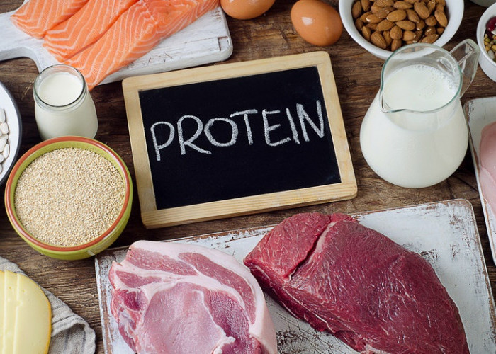 Makanan Tinggi Protein yang Dapat Menunjang Kesehatan Tubuh dan Meningkatkan Energi